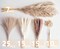 Decorative Tall Pampas Grass for Floor Vase – Premium Large Pampas Grass Decor Tall, 17"-40" Pampas Grass Stems, Dried Pampas Grass Decor Tall, Natural Pampas Grass with Beige Decor and Boho Feathers
